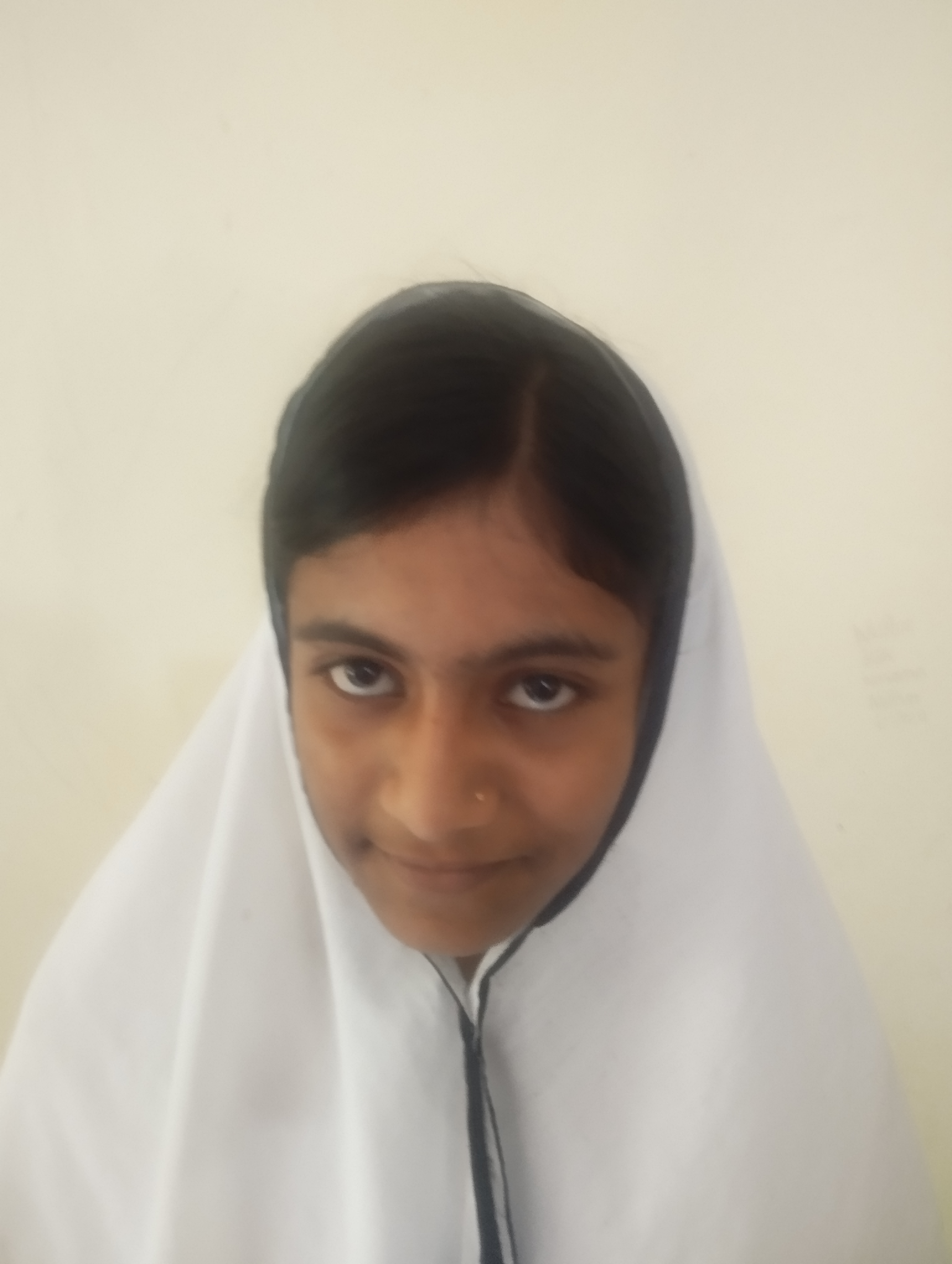 জান্নাতুল নাঈম মুনতাহা