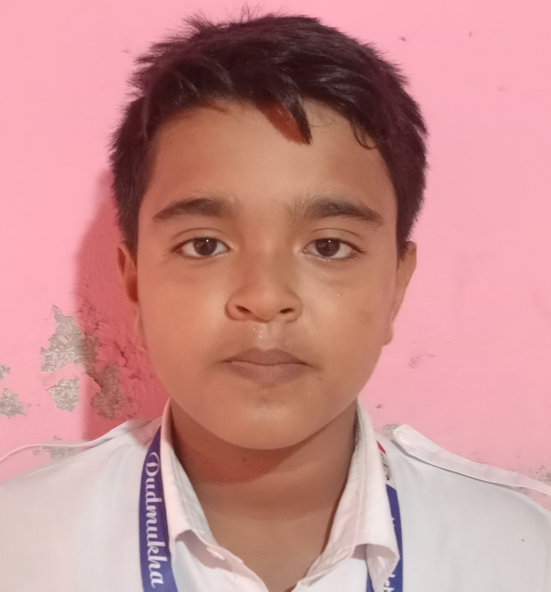 মাহাদী হোসেন